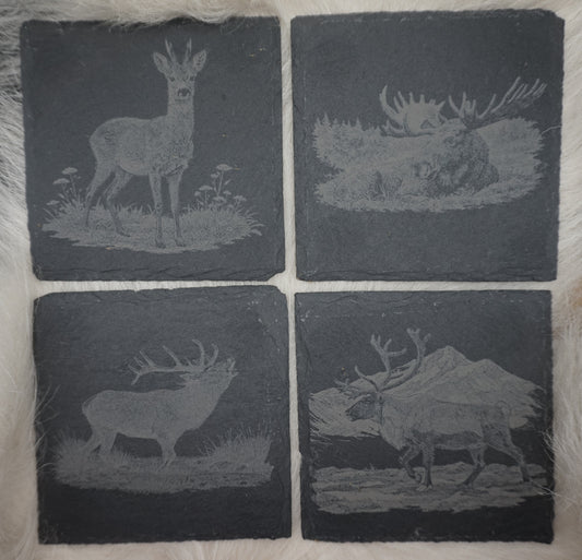 Glassbrikker i skifer